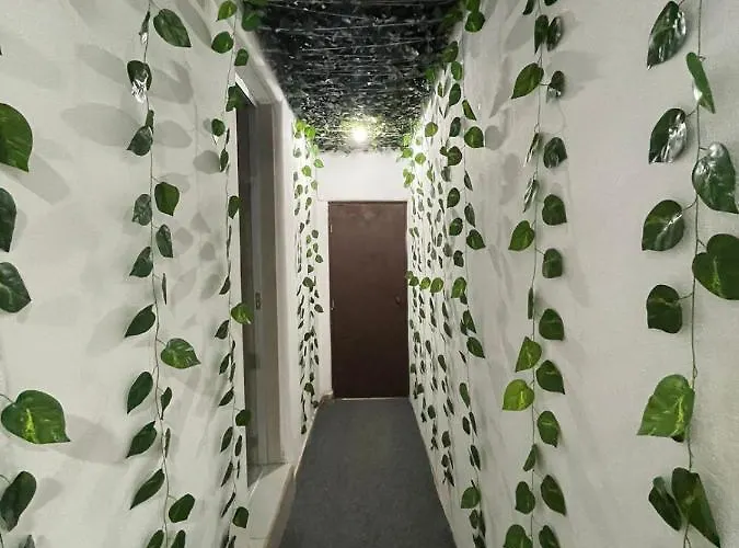 Amaranta House Hotel